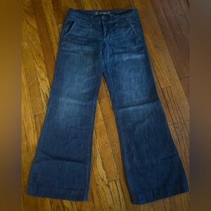 American Eagle Wide Leg Flare Jeans Size 8